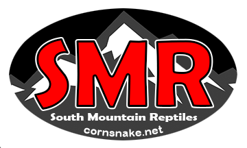 South Mountain Reptiles