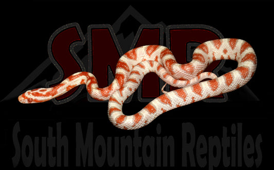 High-white Reverse Okeetee 17" male